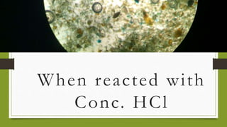 When reacted with
Conc. HCl
 