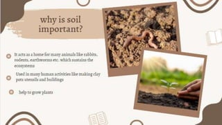 Science Soil Class 7th Ppt Science Soil Class 7th Ppt