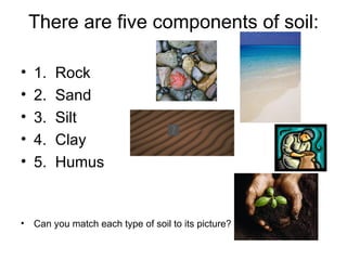 There are five components of soil:

•   1.   Rock
•   2.   Sand
•   3.   Silt
•   4.   Clay
•   5.   Humus


• Can you match each type of soil to its picture?
 
