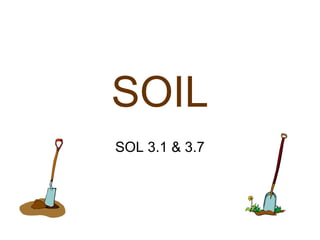 SOIL
SOL 3.1 & 3.7
 
