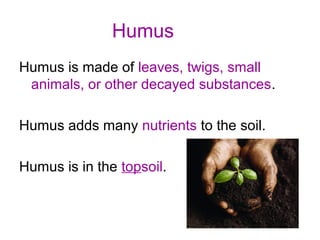Humus
Humus is made of leaves, twigs, small
animals, or other decayed substances.
Humus adds many nutrients to the soil.
Humus is in the topsoil.
 