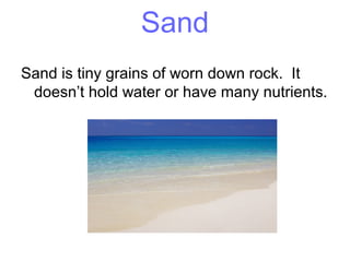 Sand
Sand is tiny grains of worn down rock. It
doesn’t hold water or have many nutrients.
 