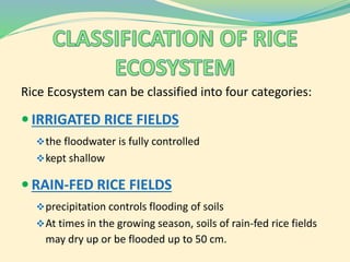 Soil presentation | PPTX