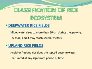 Soil presentation | PPTX