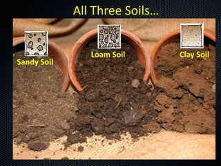All Three Soils…


                Loam Soil       Clay Soil
Sandy Soil
 