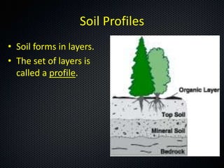 Soil Profiles
• Soil forms in layers.
• The set of layers is
  called a profile.
 
