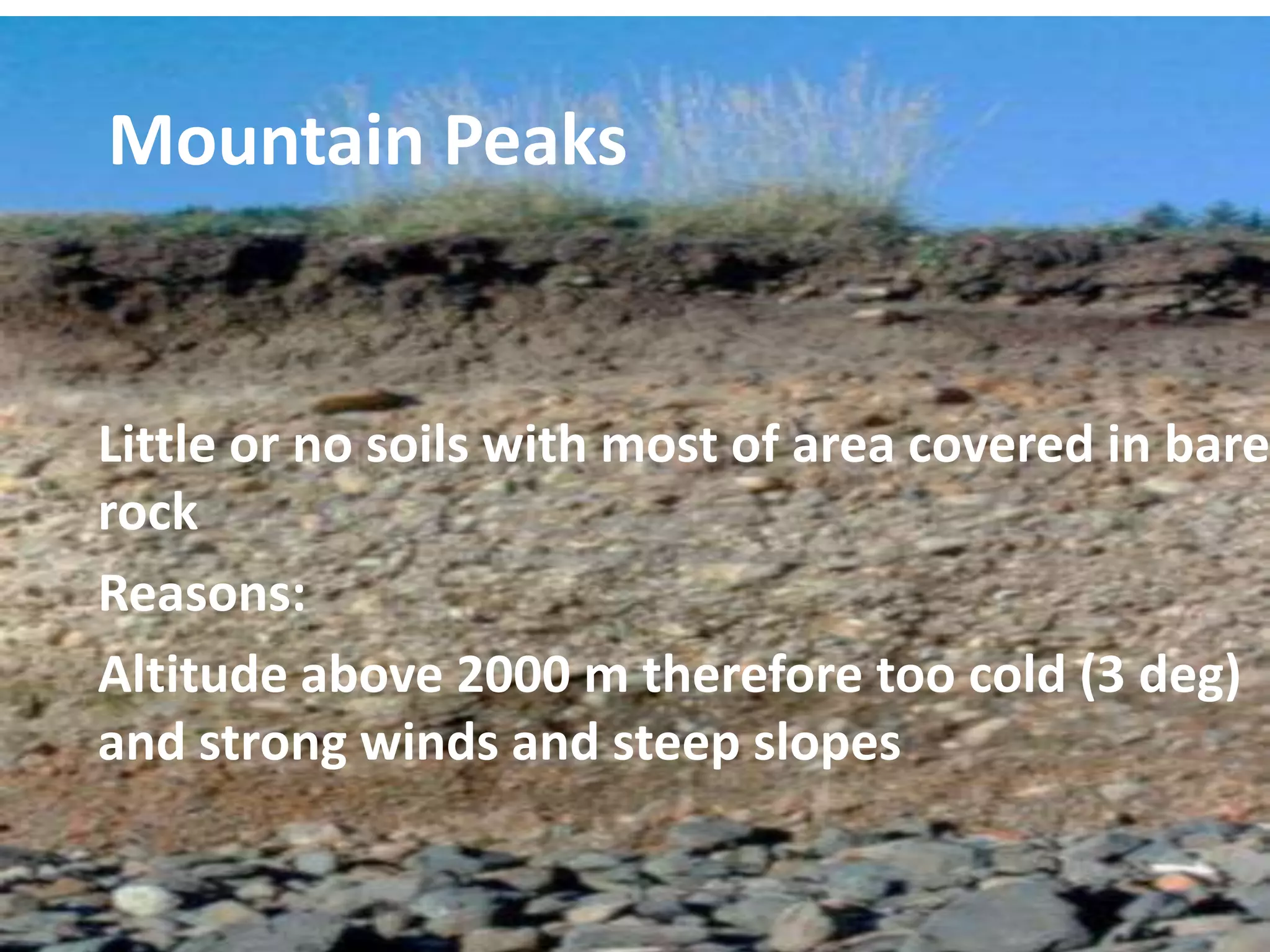 Soil processes and patterns in the tvc | PPTX