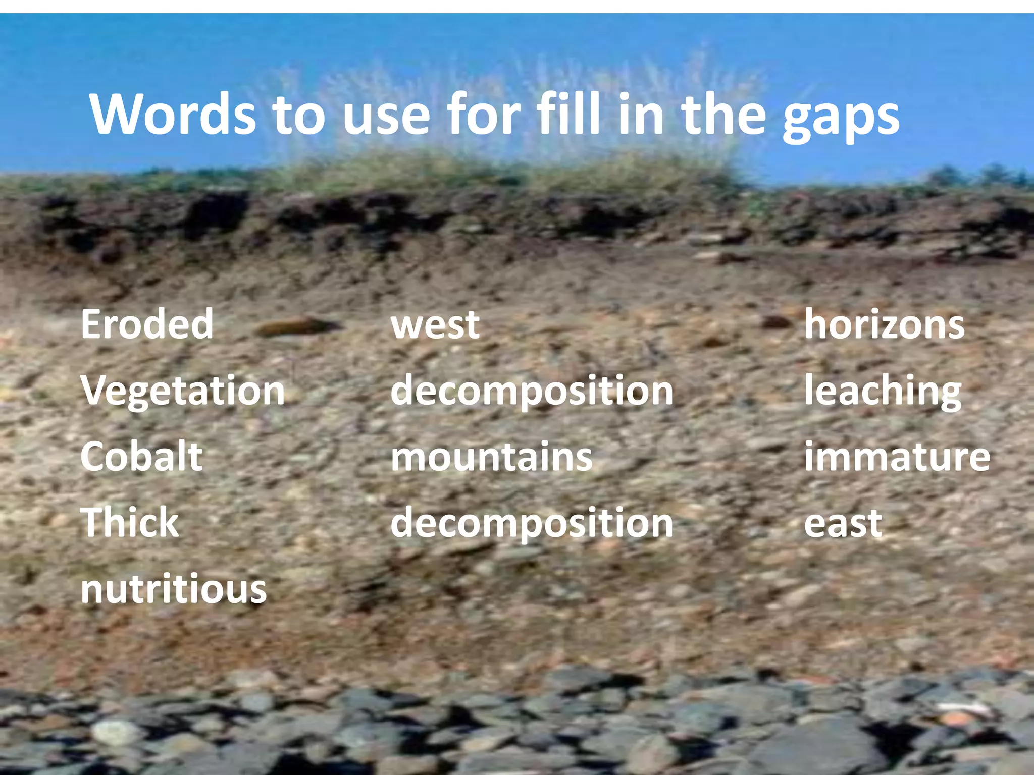 Soil processes and patterns in the tvc | PPTX