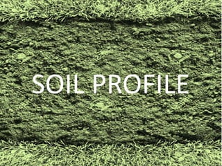 SOIL PROFILE
 