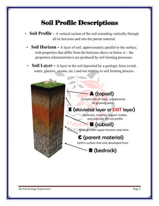 Soil profile | PDF
