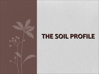 THE SOIL PROFILETHE SOIL PROFILE
 