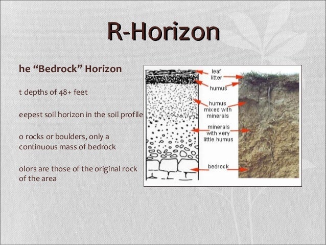 soil formation essay soil formation essay