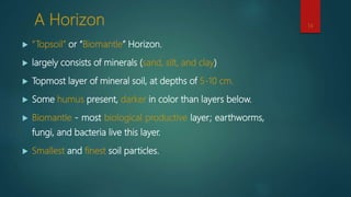 A Horizon
 “Topsoil” or “Biomantle” Horizon.
 largely consists of minerals (sand, silt, and clay)
 Topmost layer of mineral soil, at depths of 5-10 cm.
 Some humus present, darker in color than layers below.
 Biomantle - most biological productive layer; earthworms,
fungi, and bacteria live this layer.
 Smallest and finest soil particles.
14
 