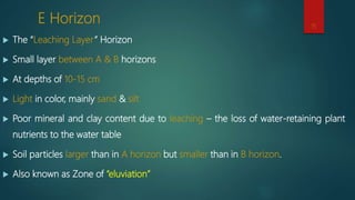 E Horizon
 The “Leaching Layer” Horizon
 Small layer between A & B horizons
 At depths of 10-15 cm
 Light in color, mainly sand & silt
 Poor mineral and clay content due to leaching – the loss of water-retaining plant
nutrients to the water table
 Soil particles larger than in A horizon but smaller than in B horizon.
 Also known as Zone of “eluviation”
15
 