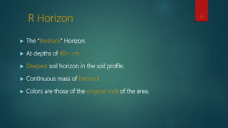 R Horizon
 The “Bedrock” Horizon.
 At depths of 48+ cm.
 Deepest soil horizon in the soil profile.
 Continuous mass of bedrock.
 Colors are those of the original rock of the area.
18
 
