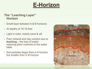 E-Horizon
The “Leaching Layer”
Horizon
• Small layer between A & B horizons
• At depths of 10-15 feet
• Light in color, mainly sand & silt
• Poor mineral and clay content due to
leaching – the loss of water-
retaining plant nutrients to the water
table
• Soil particles larger than in A horizon
but smaller than in B horizon
 