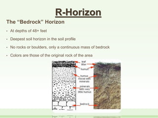 R-Horizon
The “Bedrock” Horizon
• At depths of 48+ feet
• Deepest soil horizon in the soil profile
• No rocks or boulders, only a continuous mass of bedrock
• Colors are those of the original rock of the area
 