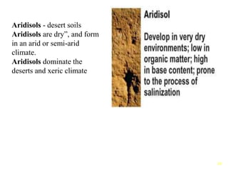 10
Aridisols - desert soils
Aridisols are dry”, and form
in an arid or semi-arid
climate.
Aridisols dominate the
deserts and xeric climate
 