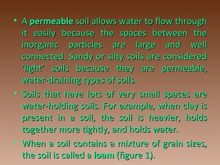 • AA permeablepermeable soil allows water to flow throughsoil allows water to flow through
it easily because the spaces between theit easily because the spaces between the
inorganic particles are large and wellinorganic particles are large and well
connected. Sandy or silty soils are consideredconnected. Sandy or silty soils are considered
‘light’ soils because they are permeable,‘light’ soils because they are permeable,
water-draining types of soils.water-draining types of soils.
• Soils that have lots of very small spaces areSoils that have lots of very small spaces are
water-holding soils. For example, when clay iswater-holding soils. For example, when clay is
present in a soil, the soil is heavier, holdspresent in a soil, the soil is heavier, holds
together more tightly, and holds water.together more tightly, and holds water.
• When a soil contains a mixture of grain sizes,When a soil contains a mixture of grain sizes,
the soil is called athe soil is called a loamloam (figure 1).(figure 1).
 