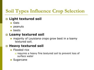 Soil Types Influence Crop Selection
 Light textured soil
 Oats
 peanuts
 beets
 Loamy textured soil
 majority of Louisiana crops grow best in a loamy
textured soil.
 Heavy textured soil
 Flooded rice
 requires a heavy fine textured soil to prevent loss of
surface water
 Sugarcane
 