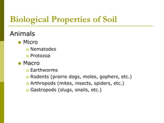 Biological Properties of Soil
Animals
 Micro
 Nematodes
 Protozoa
 Macro
 Earthworms
 Rodents (prairie dogs, moles, gophers, etc.)
 Arthropods (mites, insects, spiders, etc.)
 Gastropods (slugs, snails, etc.)
 