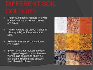 Subsoil Color Soil properties and | PPTX