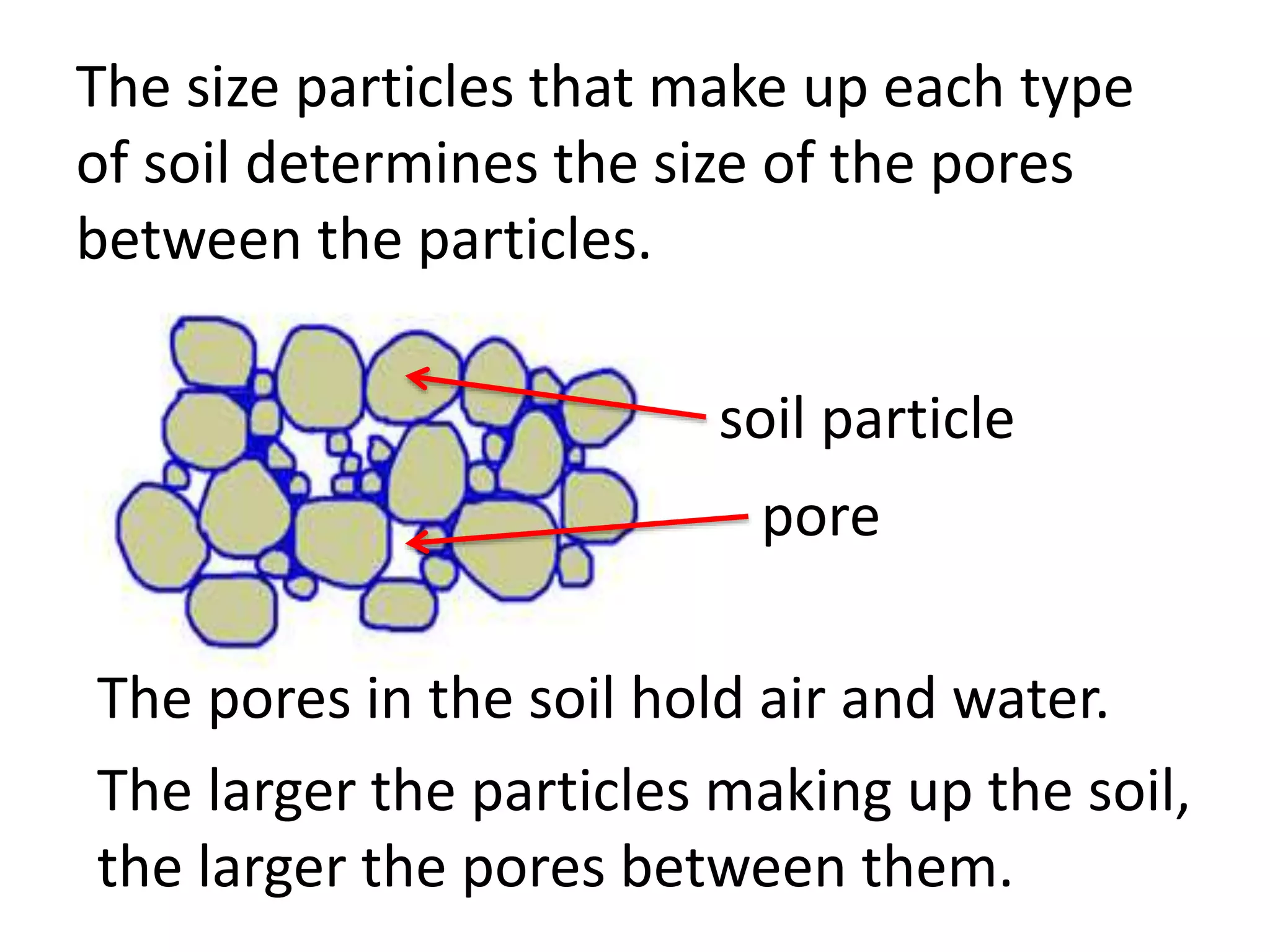 The size particles that make up each type
of soil determines the size of the pores
between the particles.
pore
soil particle
The larger the particles making up the soil,
the larger the pores between them.
The pores in the soil hold air and water.
 