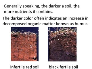 Soil properties gr. 6 2019 | PPTX