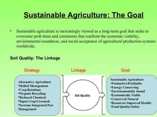 Soil quality A Lecture By Mr Allah Dad Khan Visiting Professor the ...