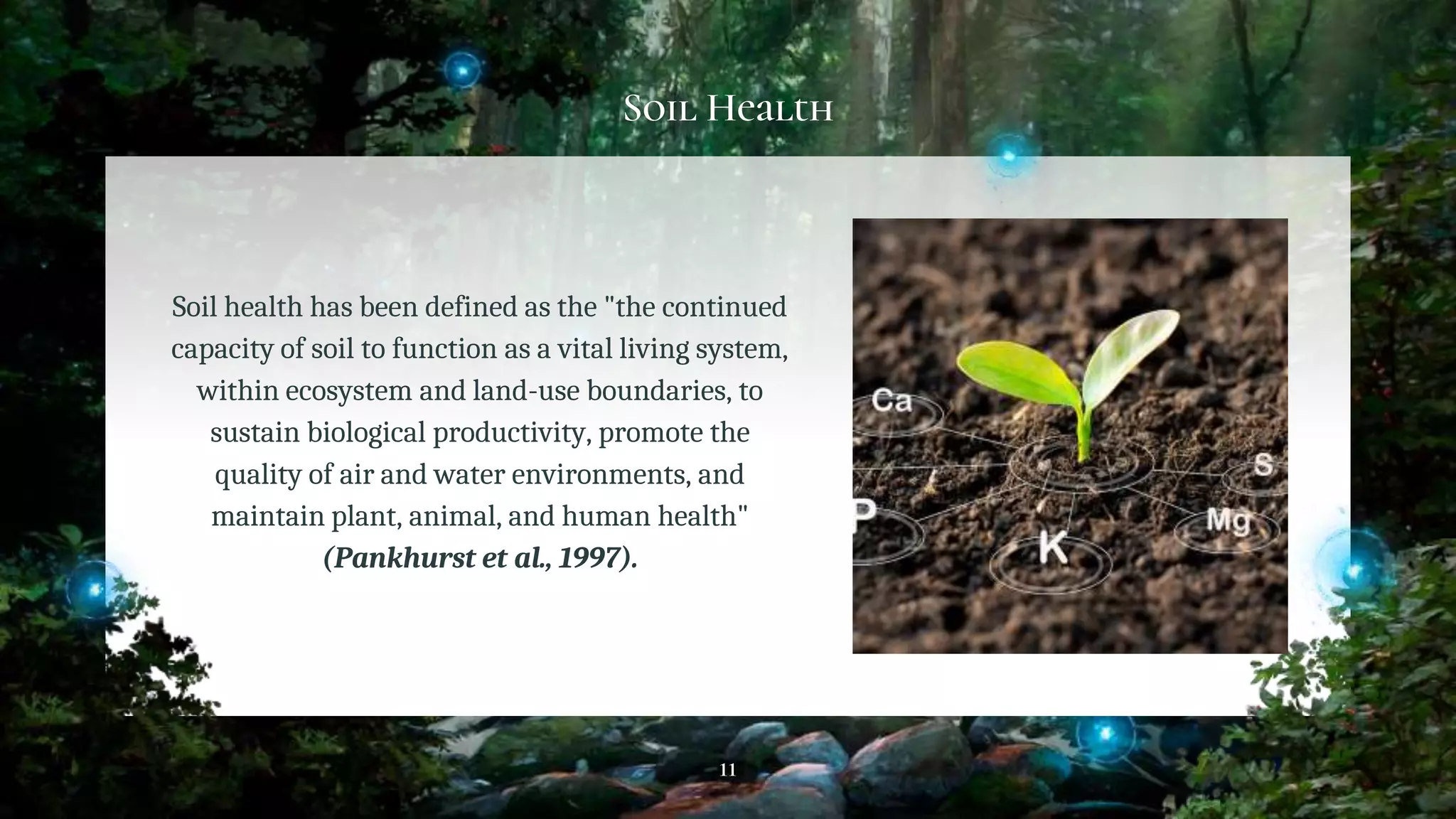 Soil Health
Soil health has been defined as the "the continued
capacity of soil to function as a vital living system,
within ecosystem and land-use boundaries, to
sustain biological productivity, promote the
quality of air and water environments, and
maintain plant, animal, and human health"
(Pankhurst et al., 1997).
11
 