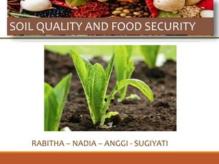SOIL QUALITY AND FOOD SECURITY
RABITHA – NADIA – ANGGI - SUGIYATI
 
