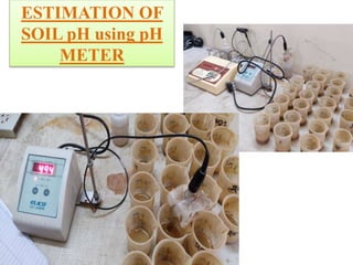 ESTIMATION OF
SOIL pH using pH
METER
 