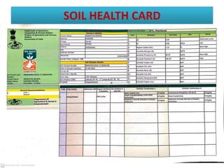 SOIL HEALTH CARD
 