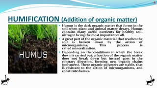 Soil resource | PPTX