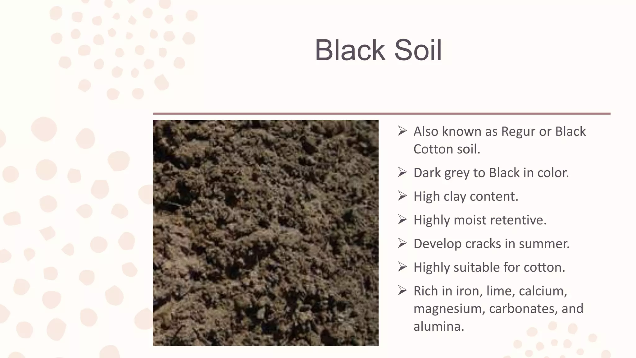 Black Soil
 Also known as Regur or Black
Cotton soil.
 Dark grey to Black in color.
 High clay content.
 Highly moist retentive.
 Develop cracks in summer.
 Highly suitable for cotton.
 Rich in iron, lime, calcium,
magnesium, carbonates, and
alumina.
 