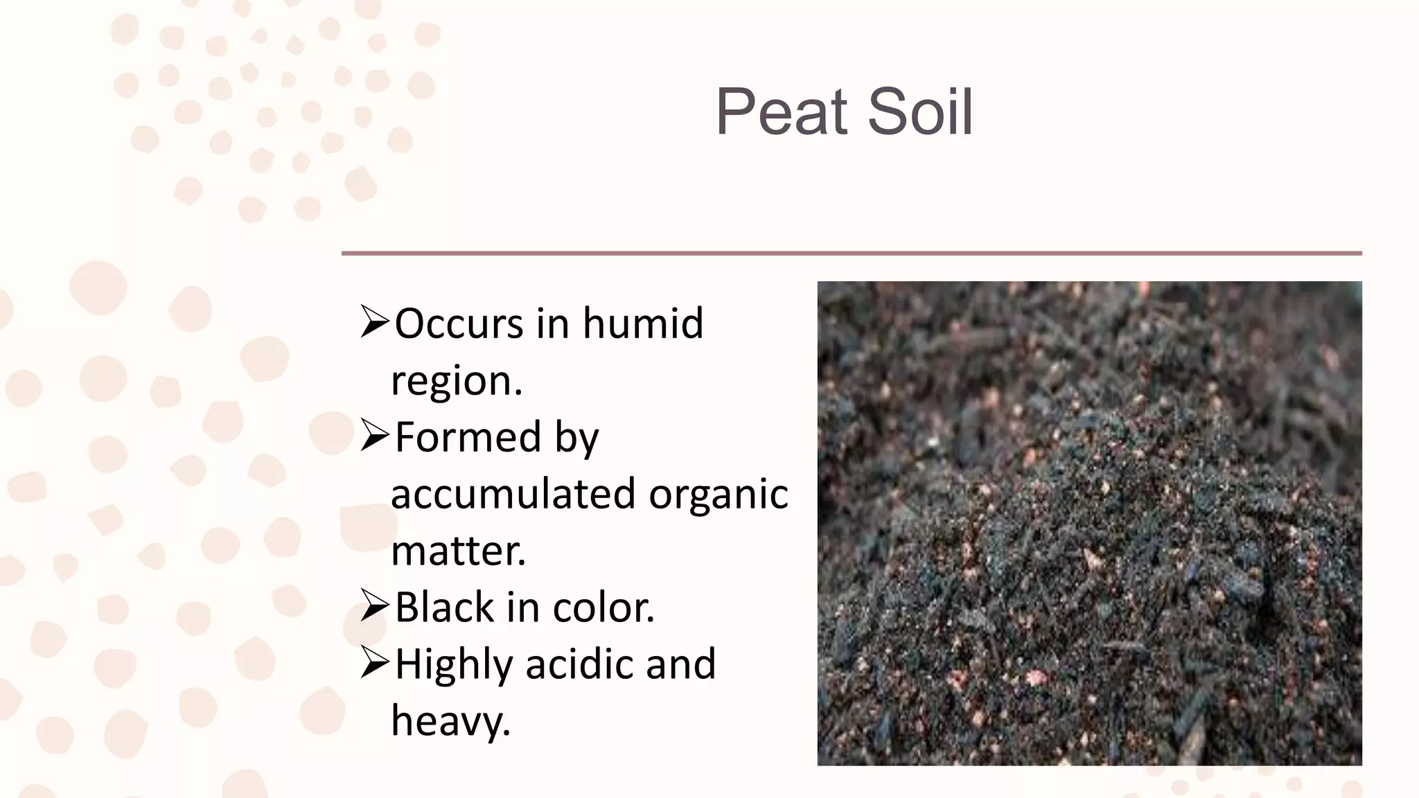 Peat Soil
Occurs in humid
region.
Formed by
accumulated organic
matter.
Black in color.
Highly acidic and
heavy.
 