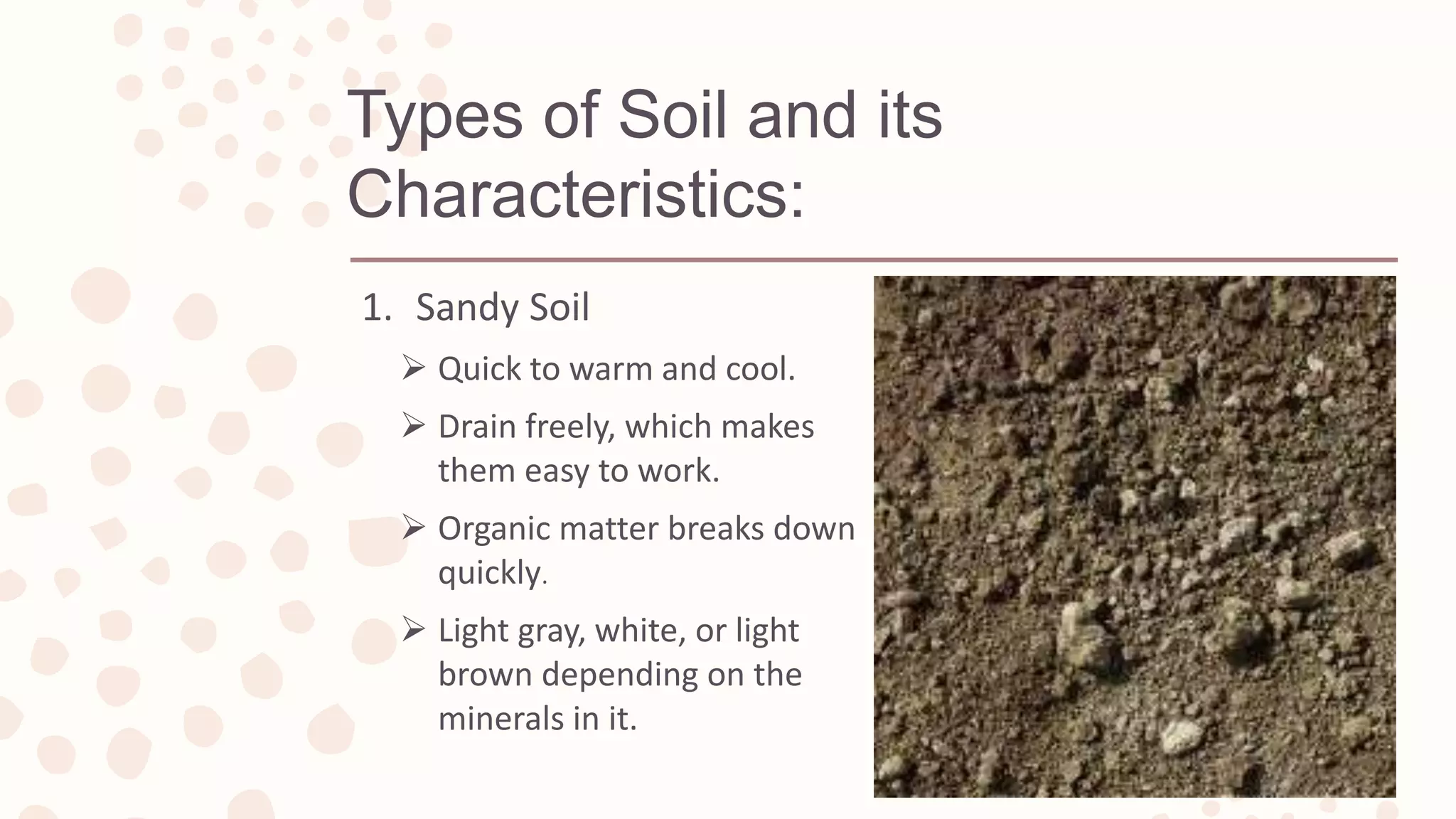 Types of Soil and its
Characteristics:
1. Sandy Soil
 Quick to warm and cool.
 Drain freely, which makes
them easy to work.
 Organic matter breaks down
quickly.
 Light gray, white, or light
brown depending on the
minerals in it.
 