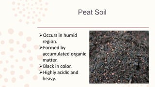 Peat Soil
Occurs in humid
region.
Formed by
accumulated organic
matter.
Black in color.
Highly acidic and
heavy.
 