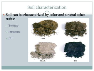 Soil characterization
 Soil can be characterized by color and several other
traits:
• Texture
• Structure
• pH
 