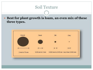 Soil Texture
 Best for plant growth is loam, an even mix of these
three types.
 