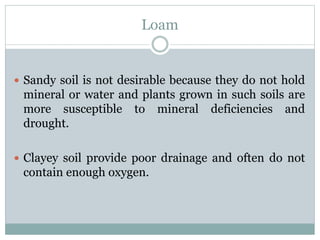 Loam
 Sandy soil is not desirable because they do not hold
mineral or water and plants grown in such soils are
more susceptible to mineral deficiencies and
drought.
 Clayey soil provide poor drainage and often do not
contain enough oxygen.
 
