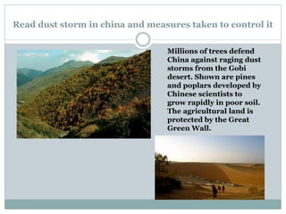 Read dust storm in china and measures taken to control it
Millions of trees defend
China against raging dust
storms from the Gobi
desert. Shown are pines
and poplars developed by
Chinese scientists to
grow rapidly in poor soil.
The agricultural land is
protected by the Great
Green Wall.
 