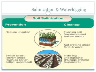 Salinization & Waterlogging
 