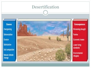 Desertification
 