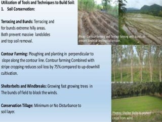 Soil conservationand Regeneration
 Conservation tillage
 Crop rotation
 Contour plowing
 Strip cropping
 Terracing
 Shelterbelts
 