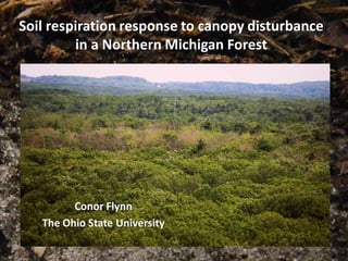 Soil respiration response to canopy disturbance in a Northern Michigan Forest 
Conor Flynn 
The Ohio State University  