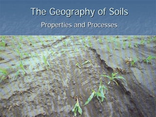 The Geography of Soils
  Properties and Processes
 