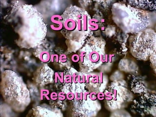 Soils: One of Our  Natural Resources! 