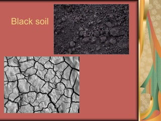 Black soil
 