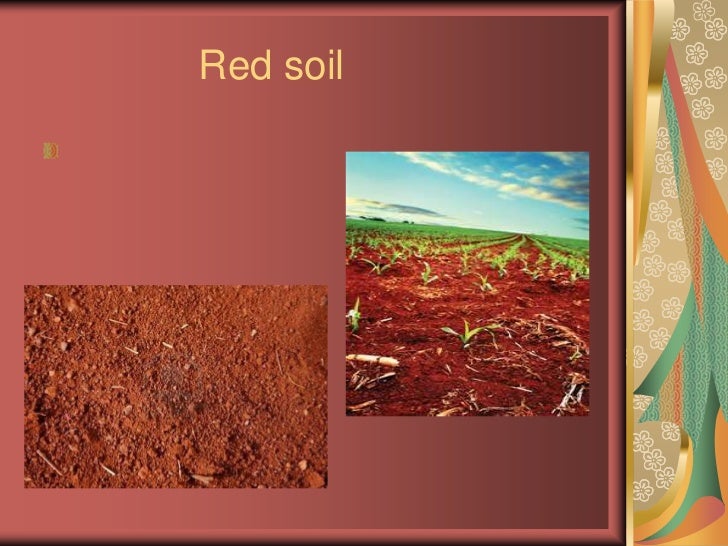 Soils Soils